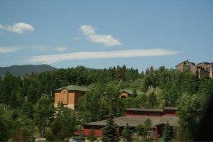img_1393